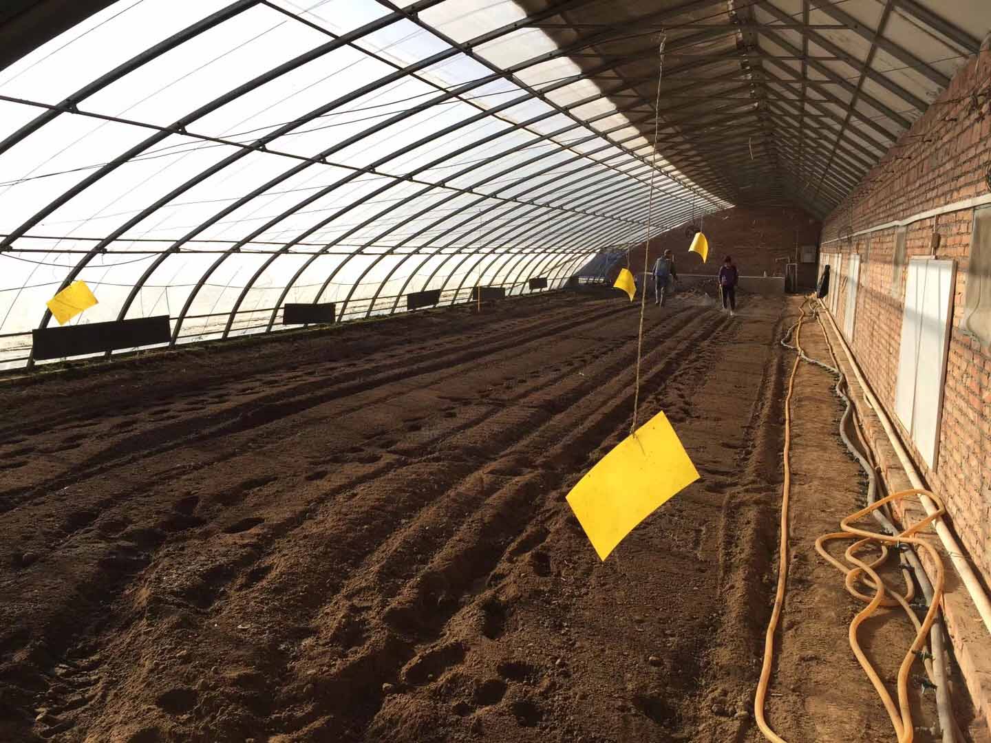 農業生産化肥施用現狀:如有補貼農民願用有機肥