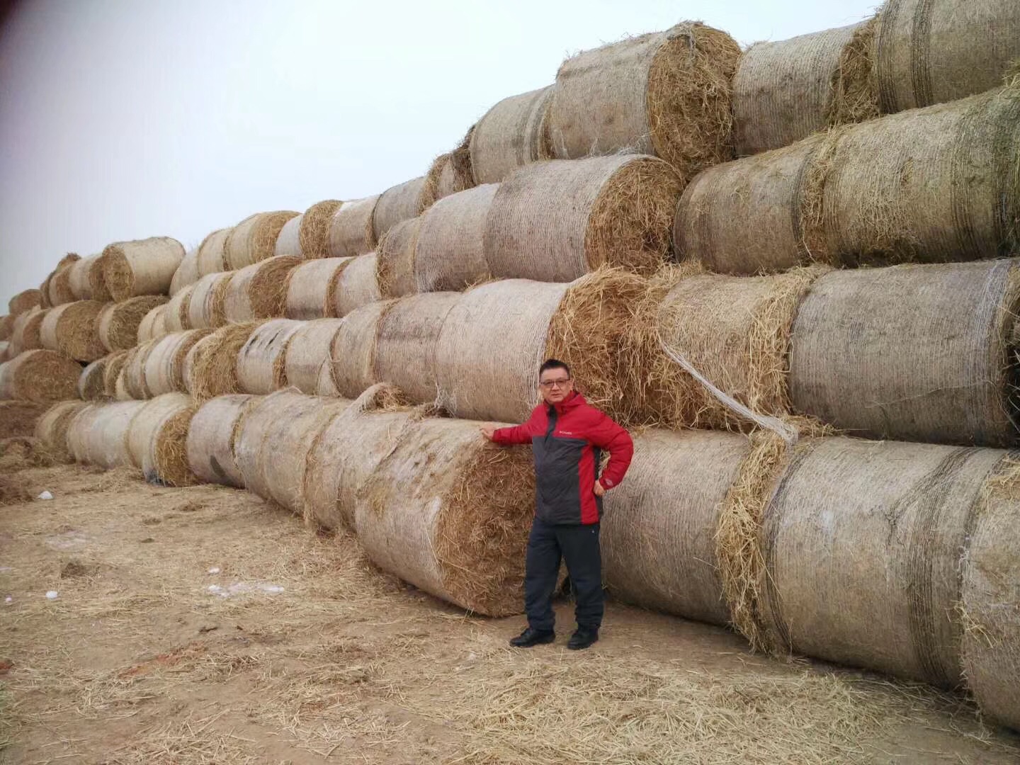 生物飼料發酵劑可替代25-33%的糧食飼料