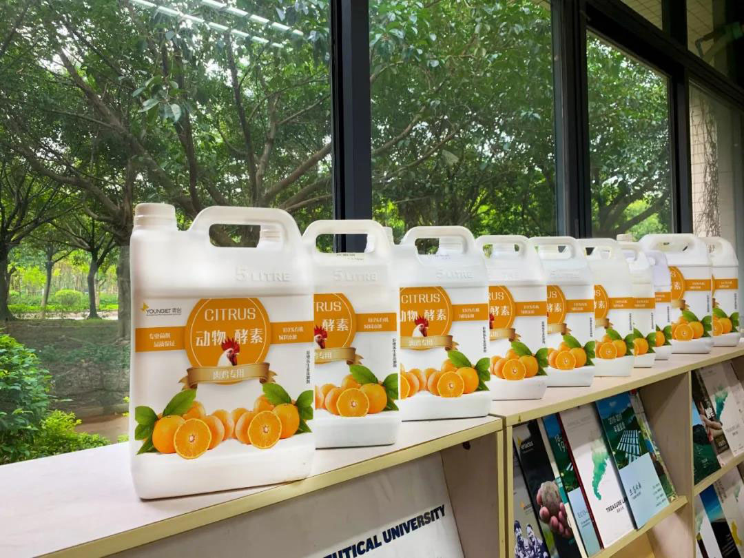 中試産品 拷貝.jpg